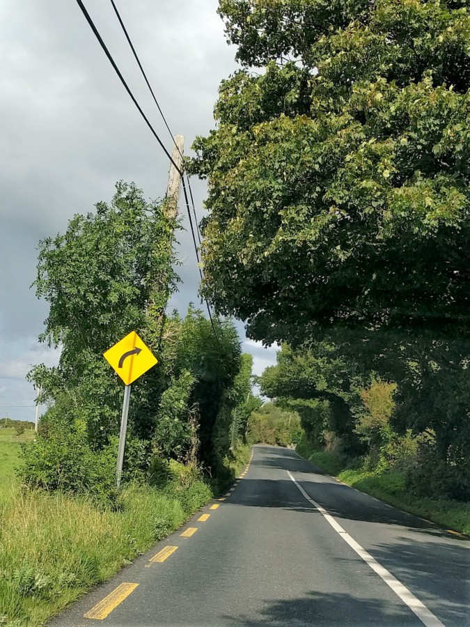 Über die Straße wachsende Bäume